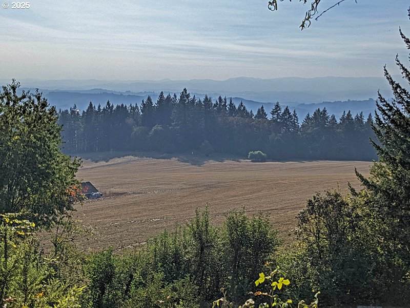 23999 Guenther Rd - Photo 1