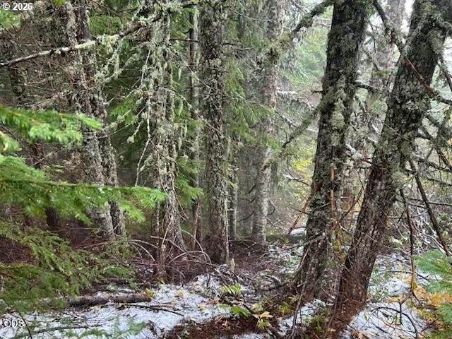 https://bt-photos.global.ssl.fastly.net/portland/orig_boomver_1_327676233-2.jpg