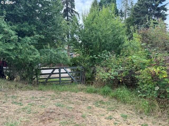 https://bt-photos.global.ssl.fastly.net/portland/orig_boomver_1_329689155-2.jpg
