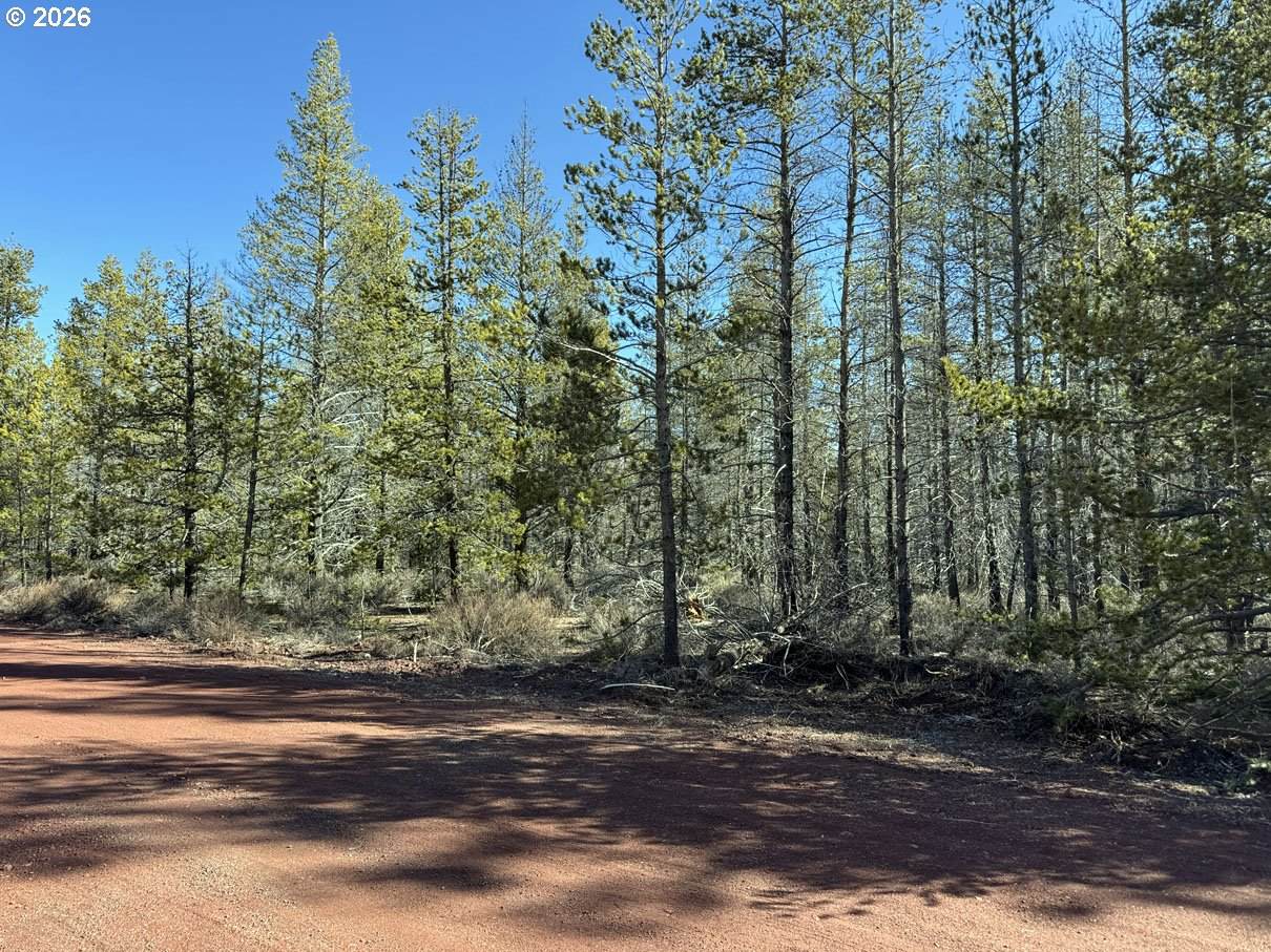  Scott View Drive - Photo 1