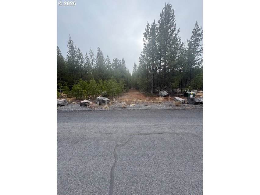  Royce Mountain Way - Photo 1