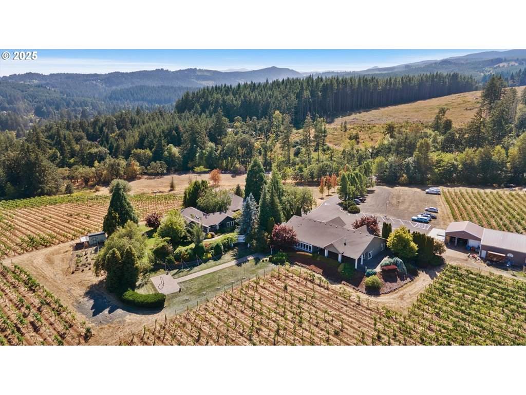 300 Reuben Boise Rd - Photo 1