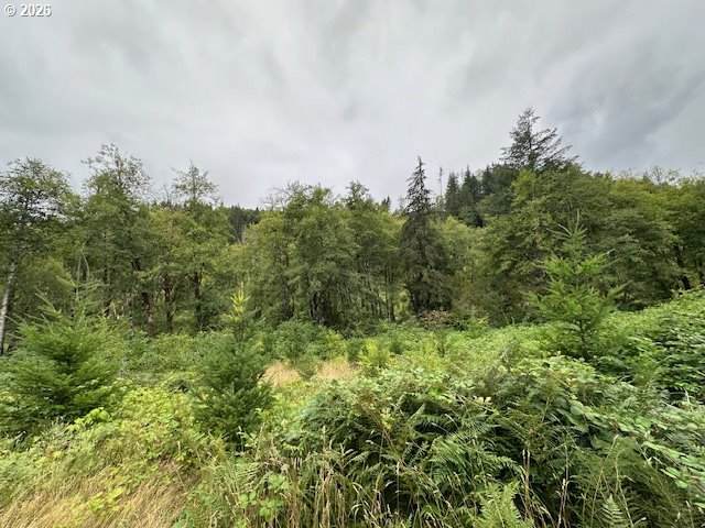 https://bt-photos.global.ssl.fastly.net/portland/orig_boomver_1_345627304-2.jpg