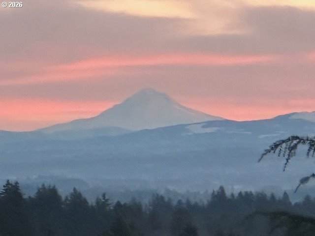 https://bt-photos.global.ssl.fastly.net/portland/orig_boomver_1_354691797-2.jpg