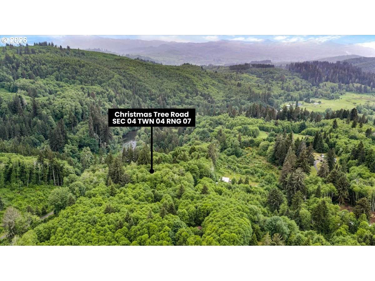 https://bt-photos.global.ssl.fastly.net/portland/orig_boomver_1_355107050-2.jpg