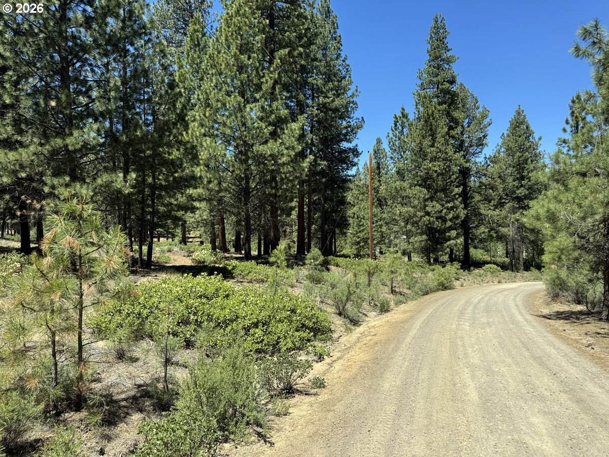  Incline Dr - Photo 1