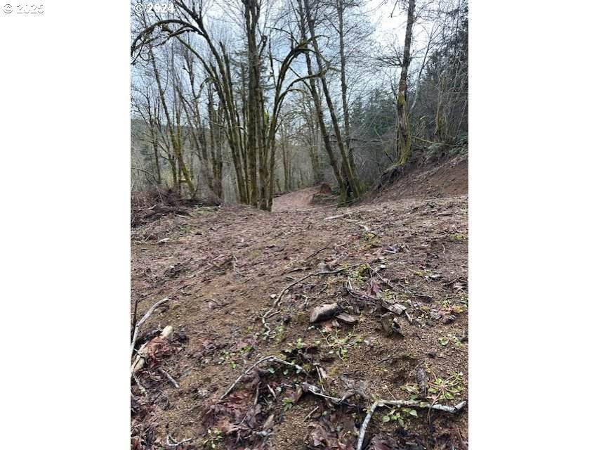 https://bt-photos.global.ssl.fastly.net/portland/orig_boomver_1_382968672-2.jpg
