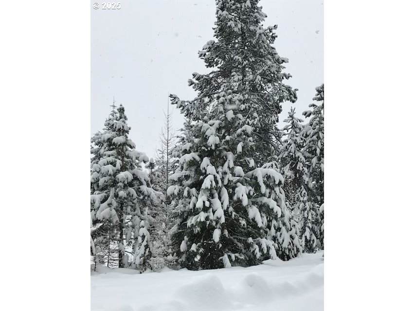 https://bt-photos.global.ssl.fastly.net/portland/orig_boomver_1_399210532-2.jpg