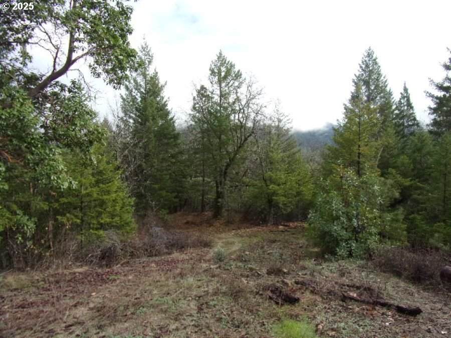 https://bt-photos.global.ssl.fastly.net/portland/orig_boomver_1_400406366-2.jpg