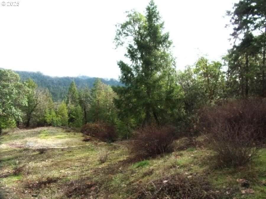 https://bt-photos.global.ssl.fastly.net/portland/orig_boomver_1_400406366-2.jpg