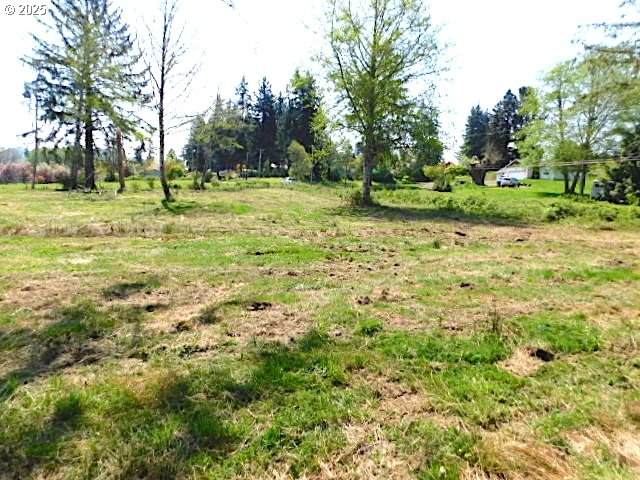  Knappa Dock Rd - Photo 1