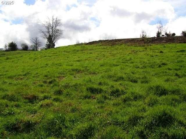 https://bt-photos.global.ssl.fastly.net/portland/orig_boomver_1_424877504-2.jpg