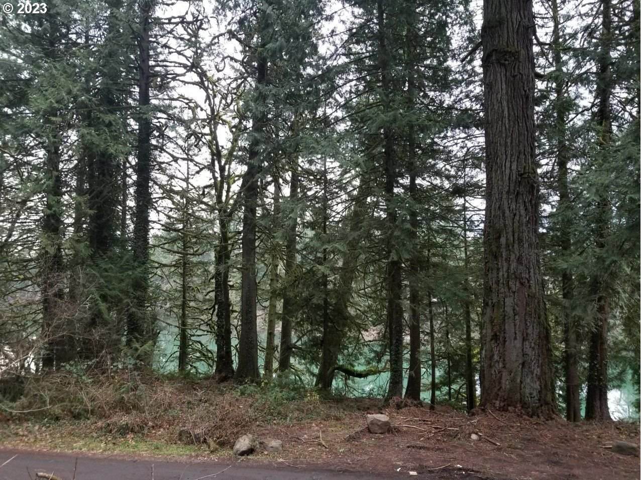 https://bt-photos.global.ssl.fastly.net/portland/orig_boomver_1_434658095-2.jpg