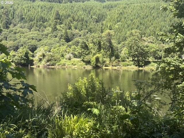  Sweet Creek Road - Photo 1