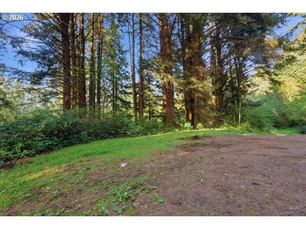 4000 Hamm Rd - Photo 1