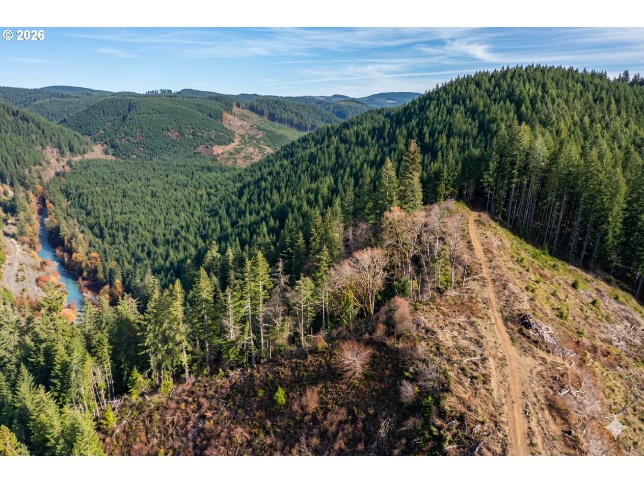  Upper Smith River Rd - Photo 1