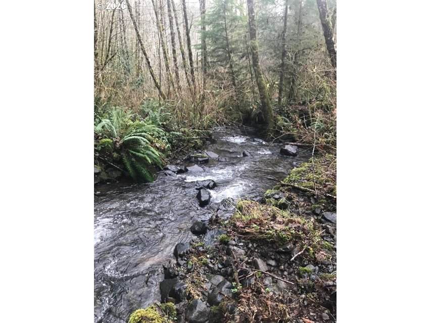 000 Alsea Hwy - Photo 1