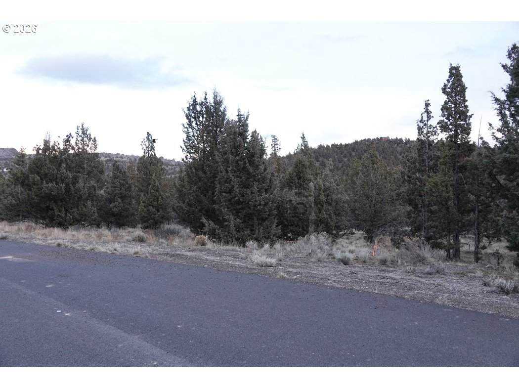 10092 Sundown Ln - Photo 1