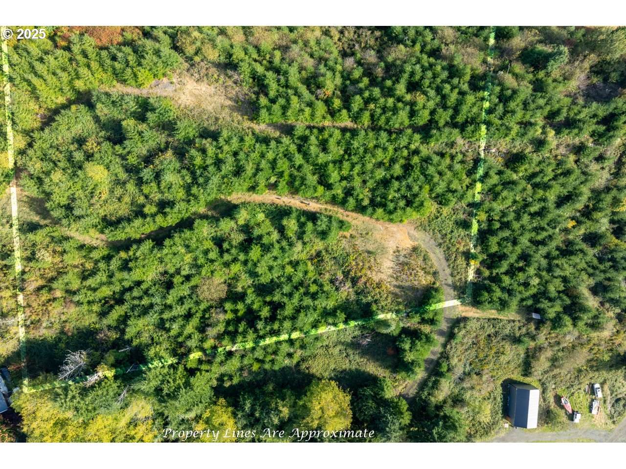 0 Heavy Horse Rd - Photo 1