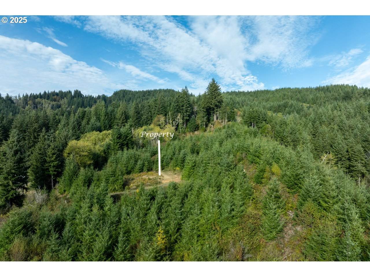 https://bt-photos.global.ssl.fastly.net/portland/orig_boomver_1_451819762-2.jpg