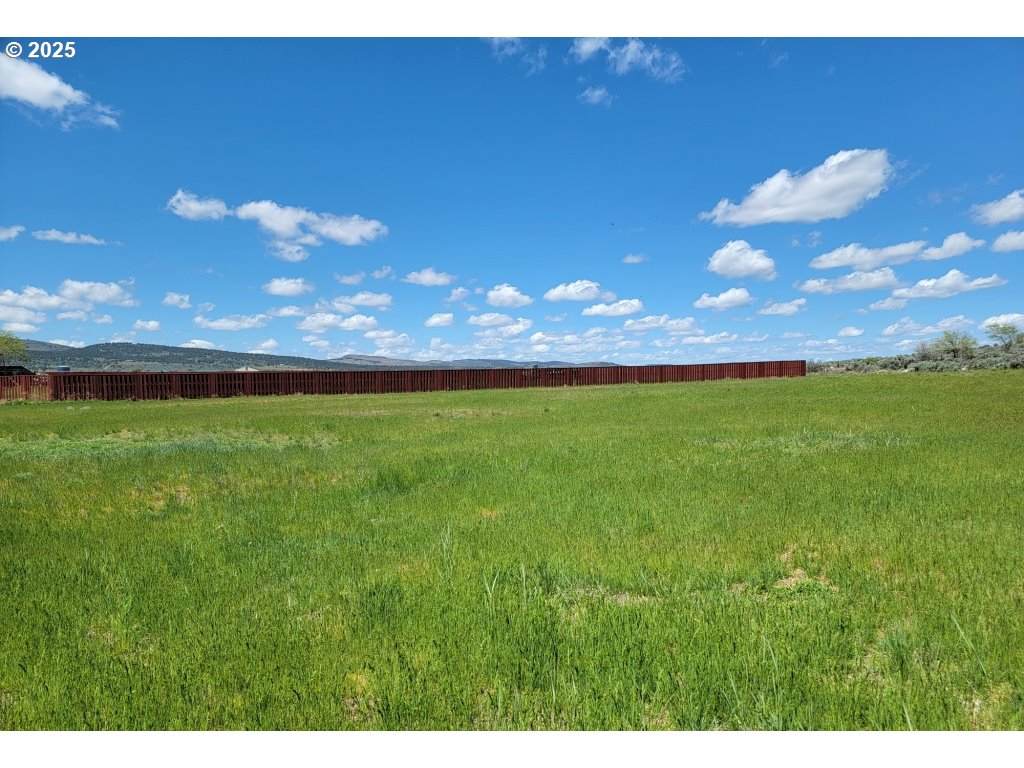 464 Harney Ave - Photo 1