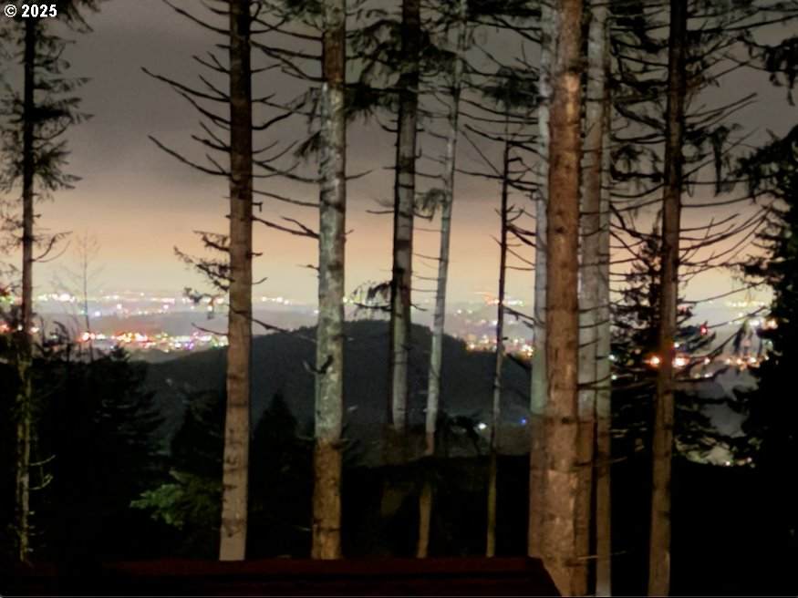 https://bt-photos.global.ssl.fastly.net/portland/orig_boomver_1_464018218-2.jpg