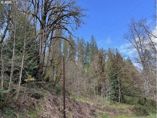 https://bt-photos.global.ssl.fastly.net/portland/orig_boomver_1_467442641-2.jpg