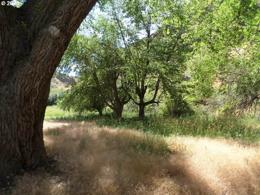 74170 Imnaha Hwy - Photo 1