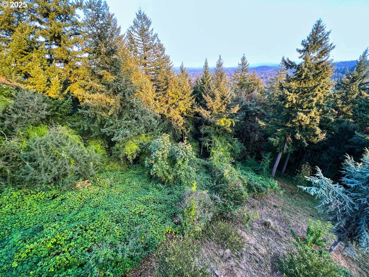 https://bt-photos.global.ssl.fastly.net/portland/orig_boomver_1_470855683-2.jpg
