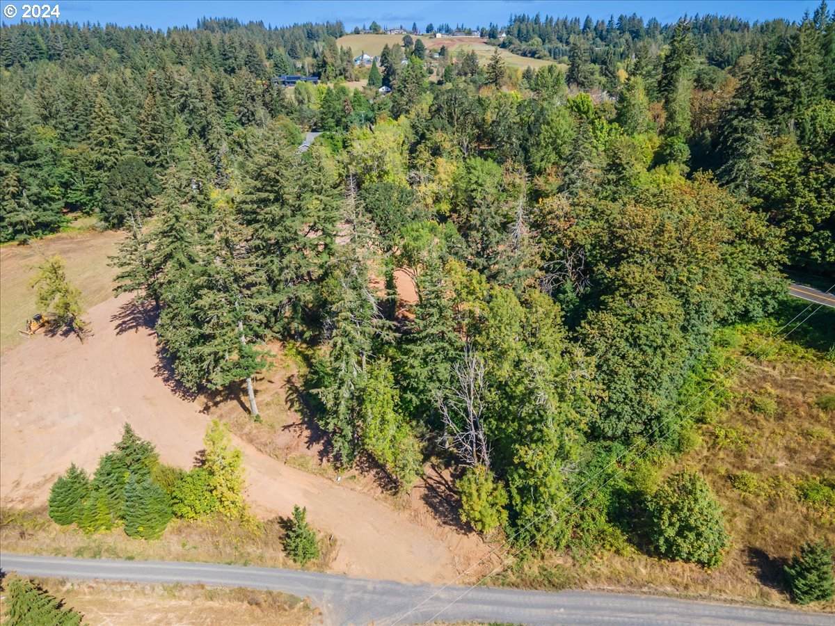  Old Cornelius Pass Rd - Photo 1