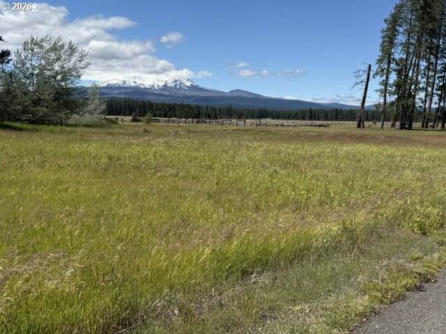 https://bt-photos.global.ssl.fastly.net/portland/orig_boomver_1_484862853-2.jpg