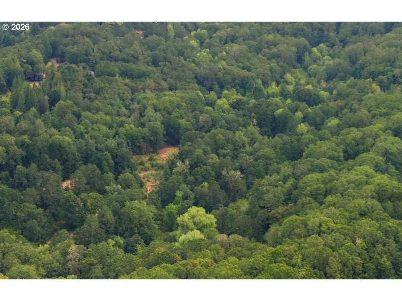 0 Rock Creek Rd. - Photo 1
