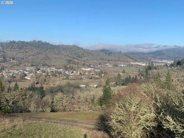 https://bt-photos.global.ssl.fastly.net/portland/orig_boomver_1_494007387-2.jpg