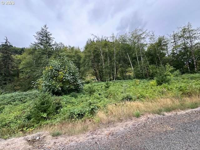 https://bt-photos.global.ssl.fastly.net/portland/orig_boomver_1_498871294-2.jpg