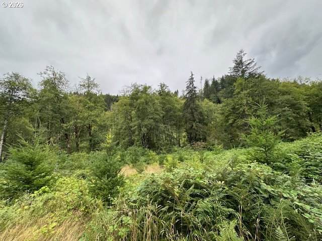 https://bt-photos.global.ssl.fastly.net/portland/orig_boomver_1_498871294-2.jpg