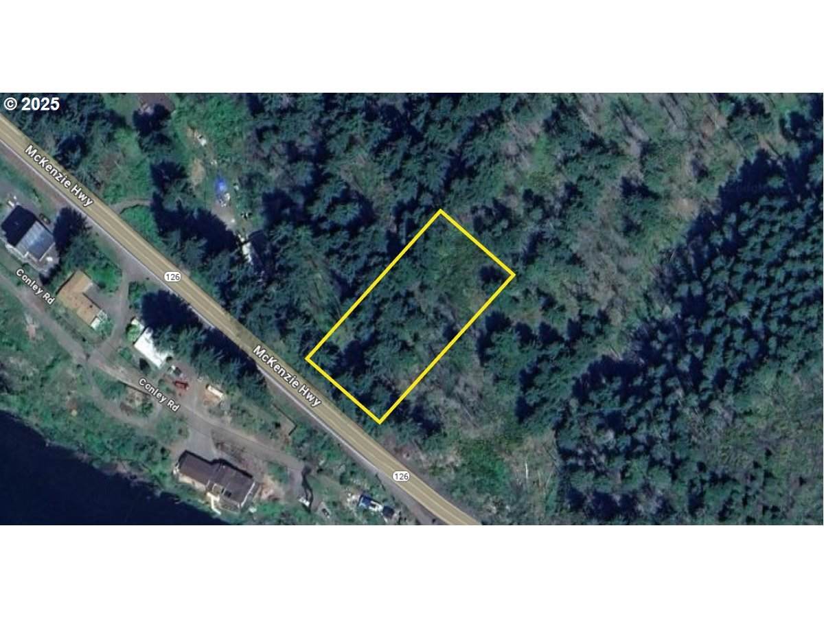 00 Mdkenzie Hwy - Photo 1