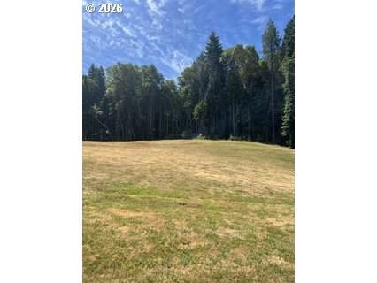 570 Tunnel Rd - Photo 1