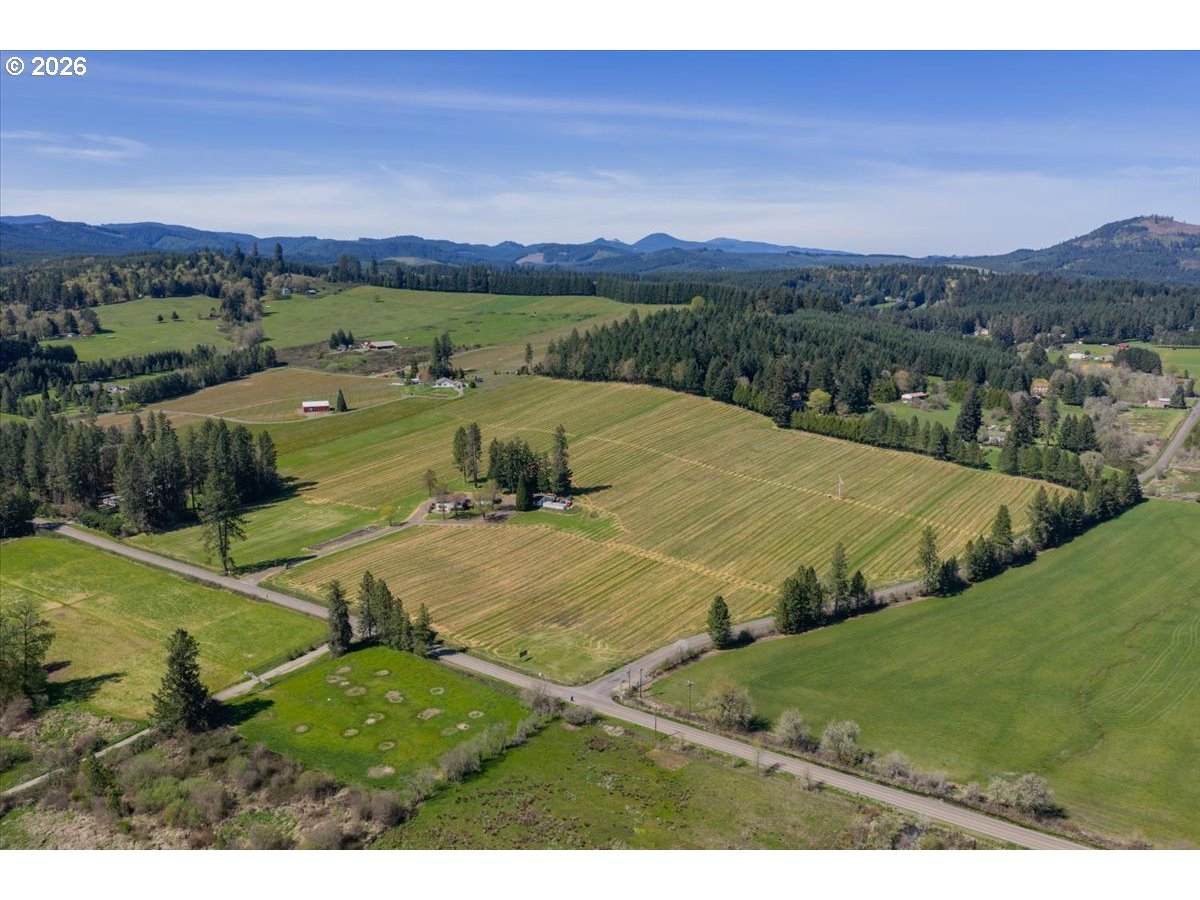 25357 High Pass Rd - Photo 1