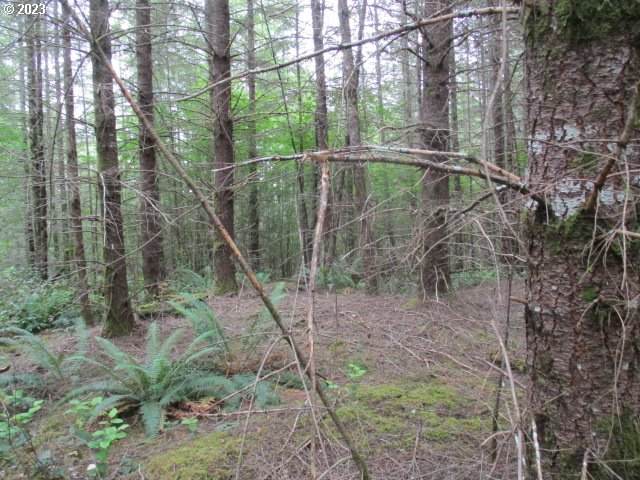 https://bt-photos.global.ssl.fastly.net/portland/orig_boomver_1_532275557-2.jpg