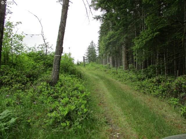 https://bt-photos.global.ssl.fastly.net/portland/orig_boomver_1_532275557-2.jpg