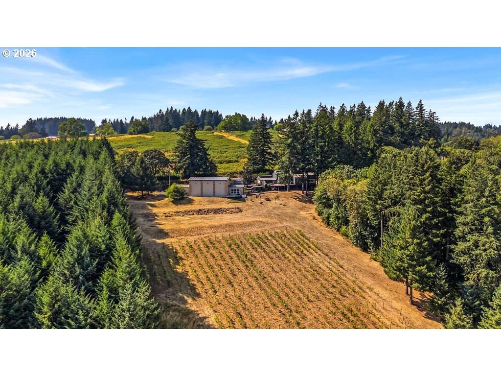 https://bt-photos.global.ssl.fastly.net/portland/orig_boomver_1_538230093-2.jpg
