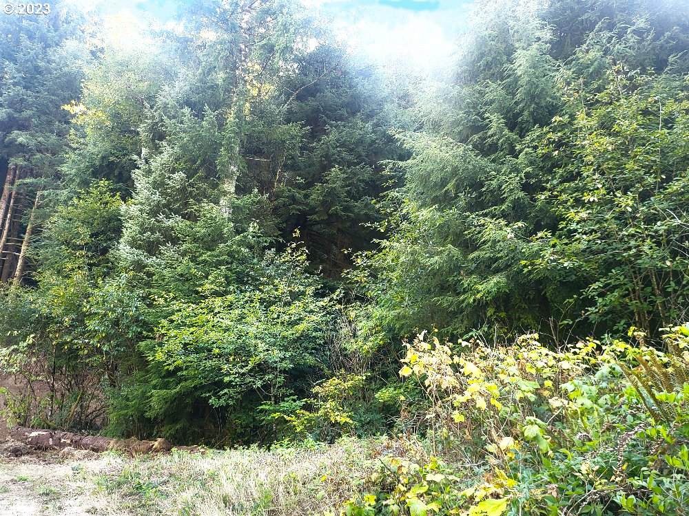 https://bt-photos.global.ssl.fastly.net/portland/orig_boomver_1_545664024-2.jpg