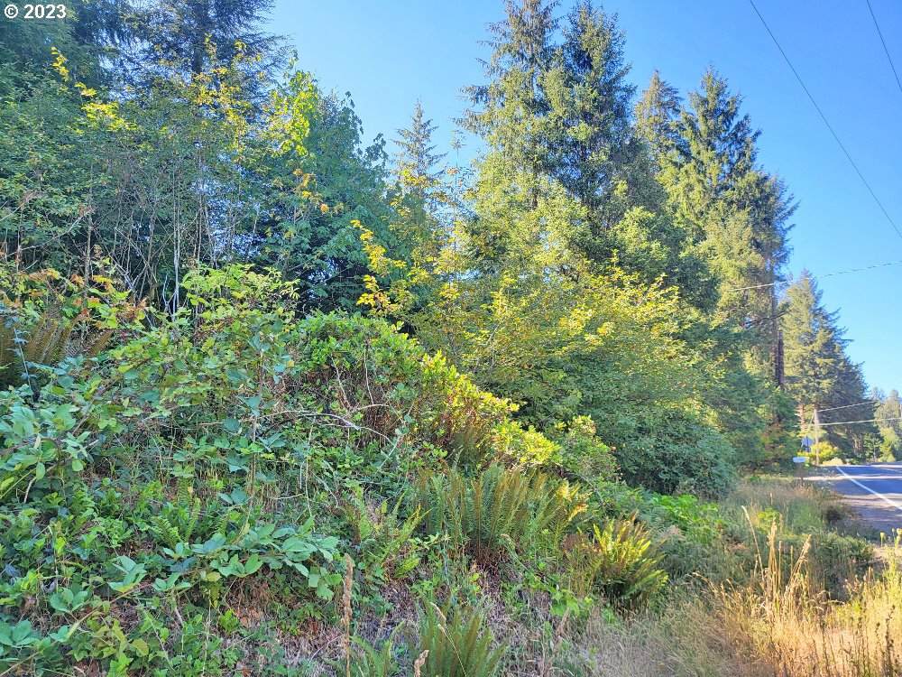 https://bt-photos.global.ssl.fastly.net/portland/orig_boomver_1_545664024-2.jpg