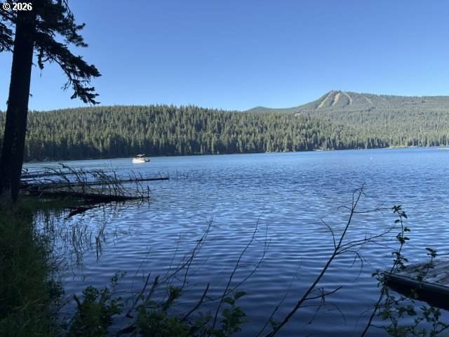https://bt-photos.global.ssl.fastly.net/portland/orig_boomver_1_547709890-2.jpg