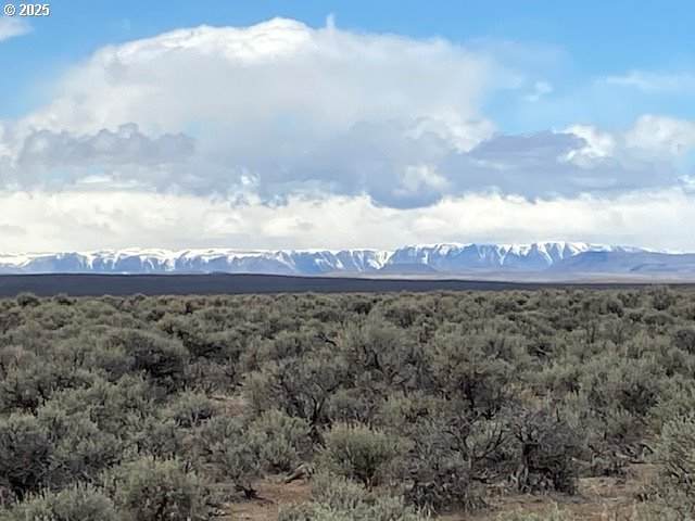  Hwy 95 - Photo 1