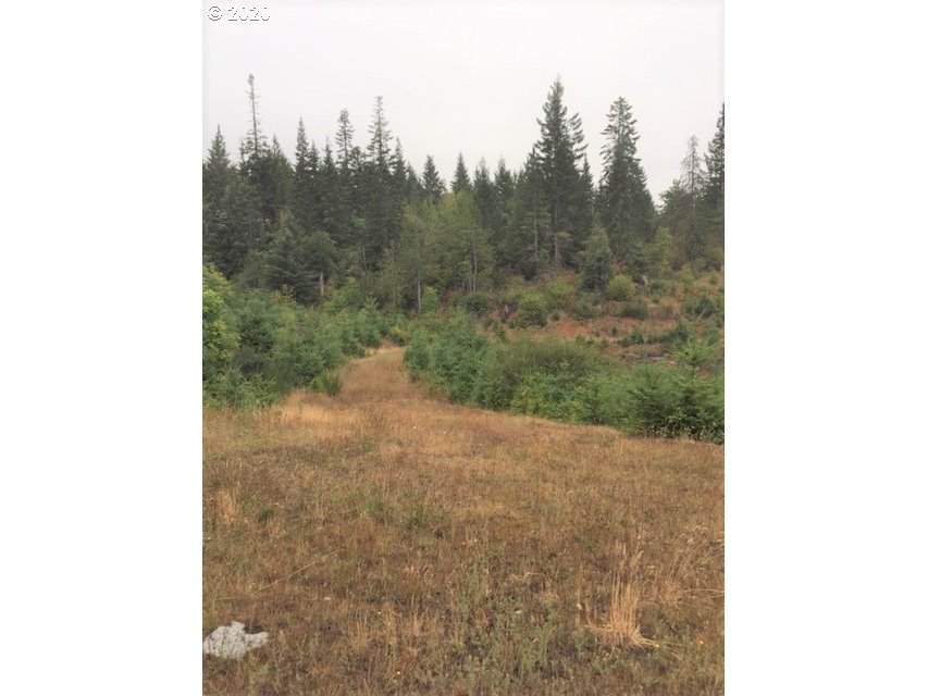 https://bt-photos.global.ssl.fastly.net/portland/orig_boomver_1_564546049-2.jpg