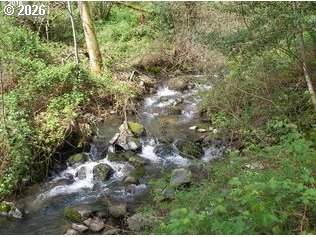 460 Kanaka Creek Rd - Photo 1