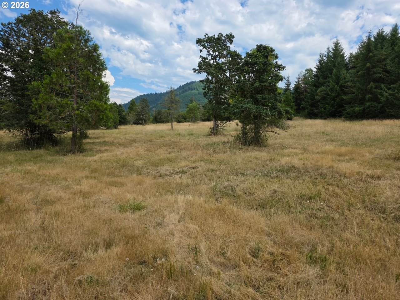https://bt-photos.global.ssl.fastly.net/portland/1280_boomver_1_571361673-2.jpg
