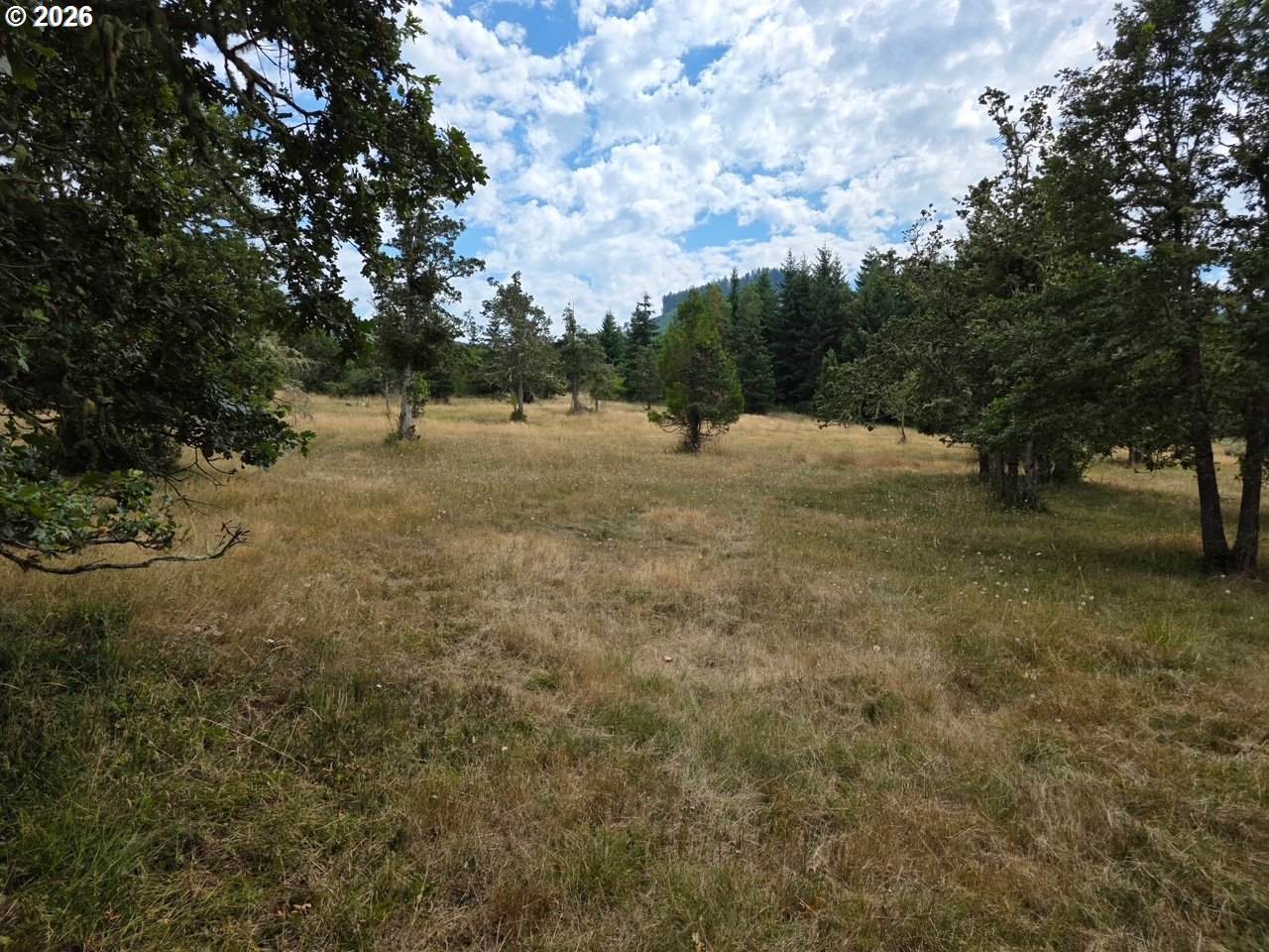 https://bt-photos.global.ssl.fastly.net/portland/1280_boomver_1_571361673-2.jpg