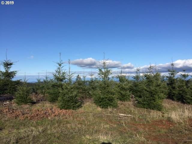https://bt-photos.global.ssl.fastly.net/portland/orig_boomver_1_591849589-2.jpg